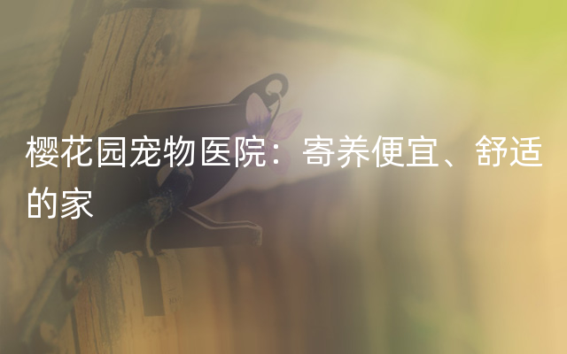 樱花园宠物医院：寄养便宜、舒适的家