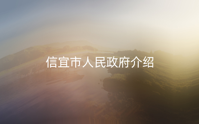 信宜市人民政府介绍