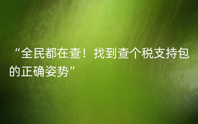 “全民都在查！找到查个税支持包的正确姿势”