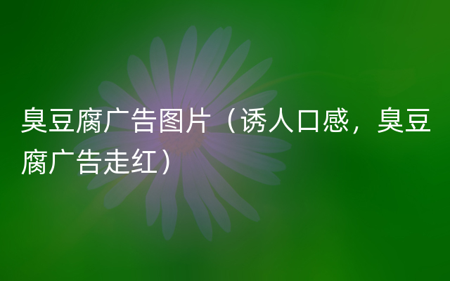 臭豆腐广告图片（诱人口感，臭豆腐广告走红）