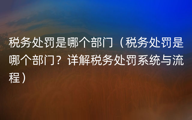 税务处罚是哪个部门（税务处罚是哪个部门？详解税务处罚系统与流程）