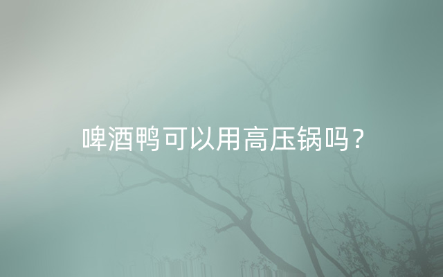 啤酒鸭可以用高压锅吗？