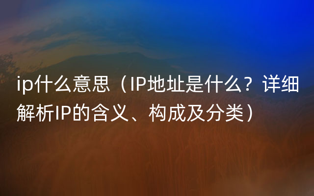 ip什么意思（IP地址是什么？详细解析IP的含义、构成及分类）