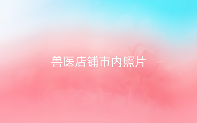 兽医店铺市内照片