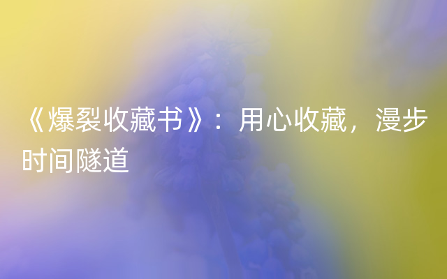 《爆裂收藏书》：用心收藏，漫步时间隧道