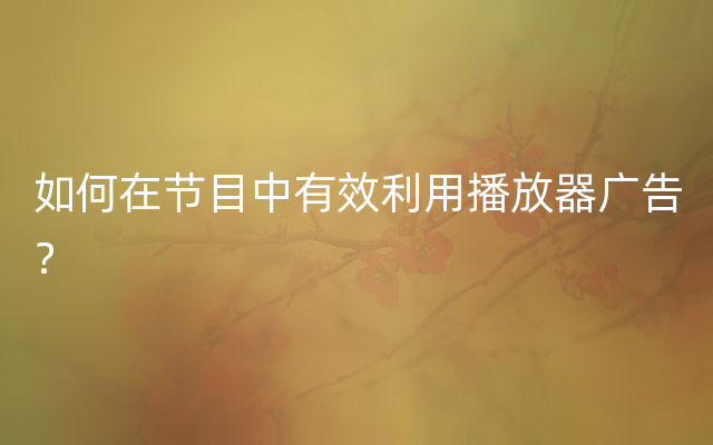 如何在节目中有效利用播放器广告？