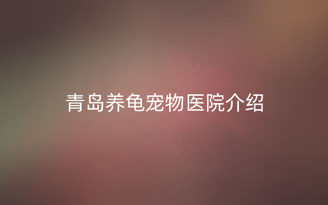 青岛养龟宠物医院介绍