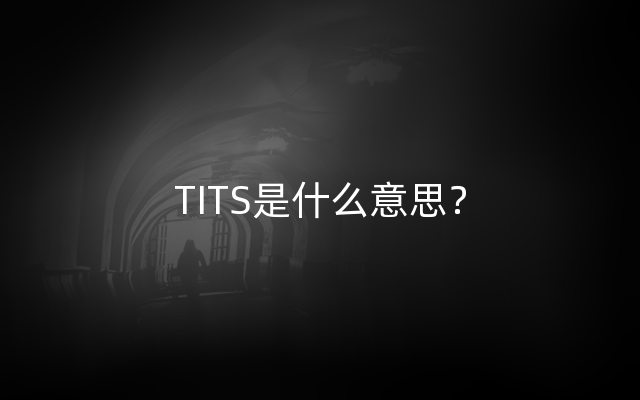 TITS是什么意思？