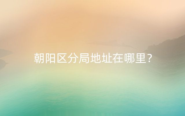 朝阳区分局地址在哪里？