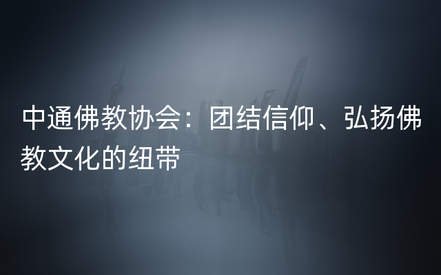 中通佛教协会：团结信仰、弘扬佛教文化的纽带