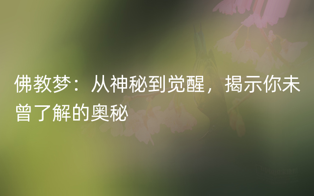佛教梦：从神秘到觉醒，揭示你未曾了解的奥秘
