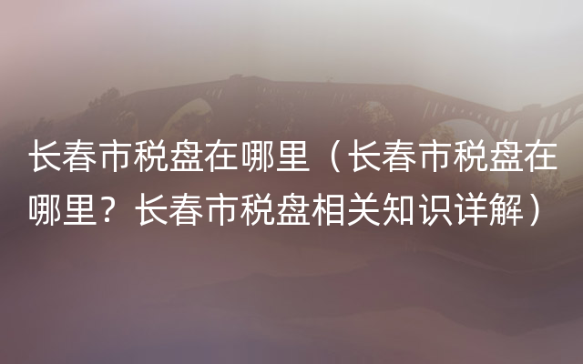 长春市税盘在哪里（长春市税盘在哪里？长春市税盘相关知识详解）