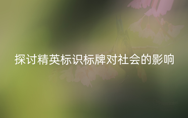 探讨精英标识标牌对社会的影响