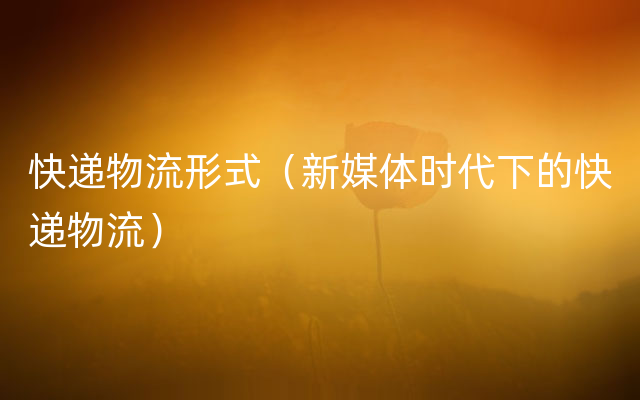 快递物流形式（新媒体时代下的快递物流）