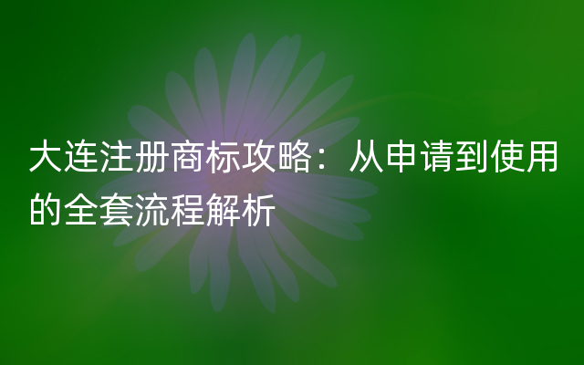 大连注册商标攻略：从申请到使用的全套流程解析