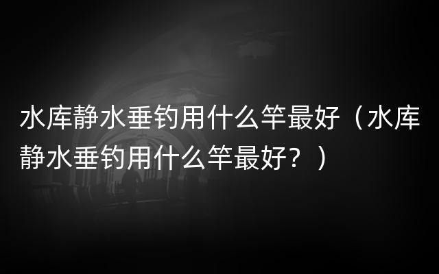 水库静水垂钓用什么竿最好（水库静水垂钓用什么竿最好？）