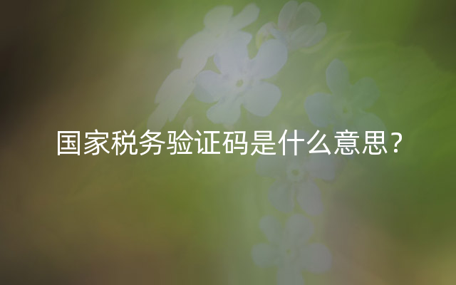 国家税务验证码是什么意思？