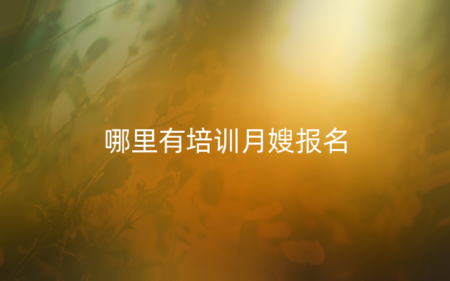 哪里有培训月嫂报名