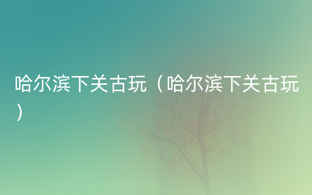 哈尔滨下关古玩（哈尔滨下关古玩）