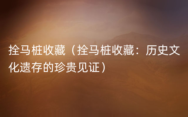 拴马桩收藏（拴马桩收藏：历史文化遗存的珍贵见证）