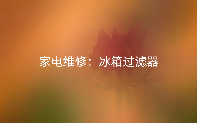 家电维修：冰箱过滤器
