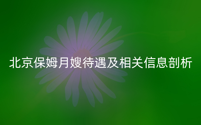 北京保姆月嫂待遇及相关信息剖析