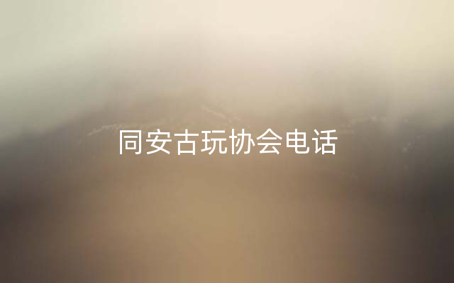 同安古玩协会电话