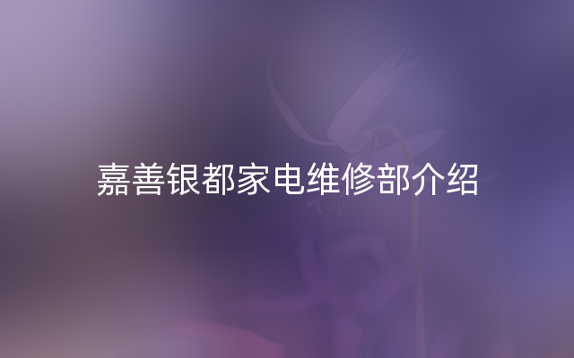 嘉善银都家电维修部介绍