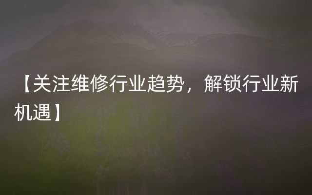 【关注维修行业趋势，解锁行业新机遇】