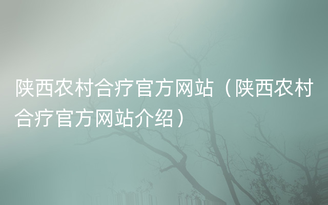陕西农村合疗官方网站（陕西农村合疗官方网站介绍）