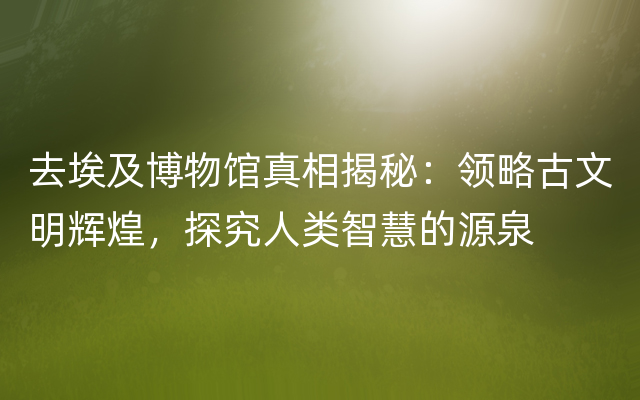 去埃及博物馆真相揭秘：领略古文明辉煌，探究人类