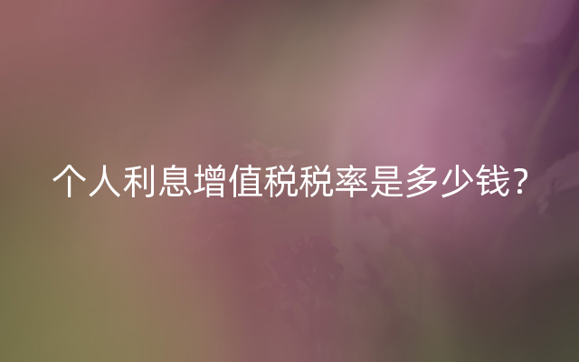 个人利息增值税税率是多少钱？