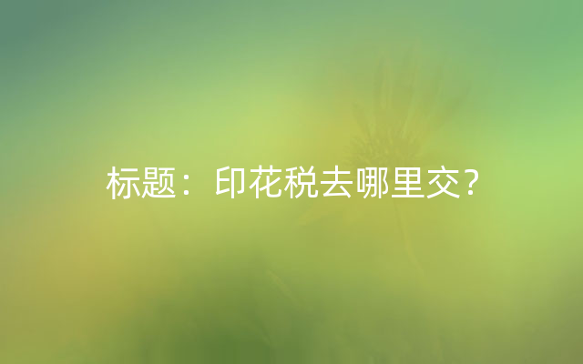 标题：印花税去哪里交？