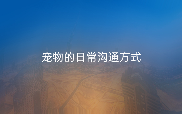 宠物的日常沟通方式