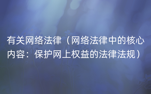 有关网络法律（网络法律中的核心内容：保护网上权益的法律法规）