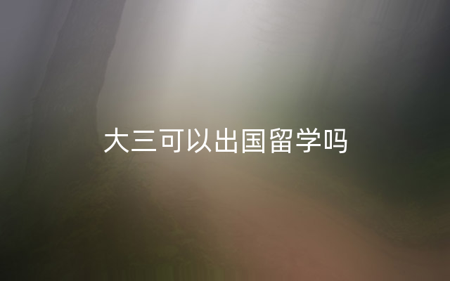 大三可以出国留学吗
