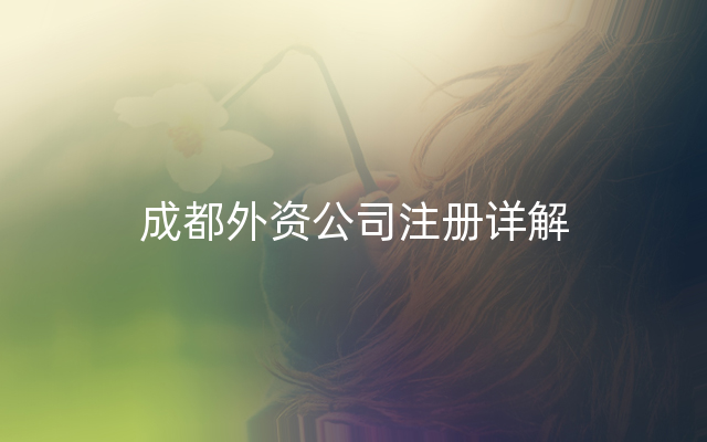 成都外资公司注册详解
