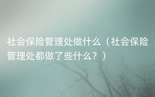 社会保险管理处做什么（社会保险管理处都做了些什么？）