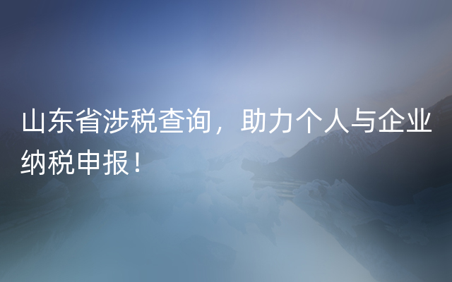 山东省涉税查询，助力个人与企业纳税申报！