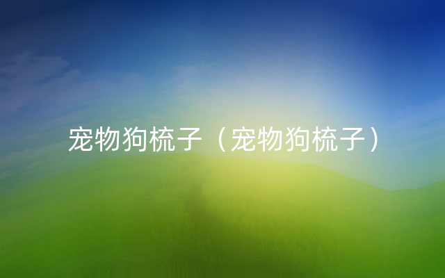 宠物狗梳子（宠物狗梳子）