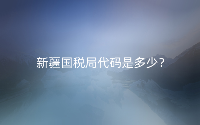 新疆国税局代码是多少？
