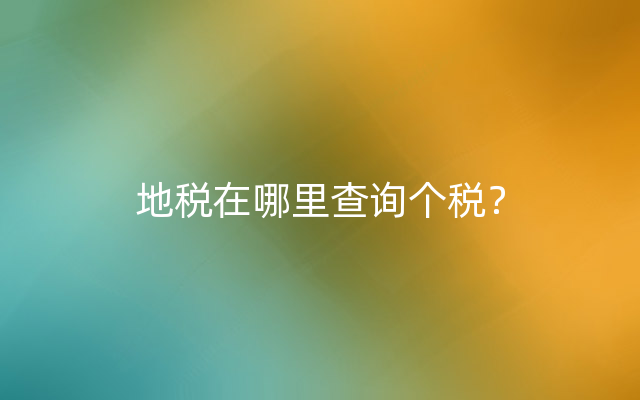 地税在哪里查询个税？