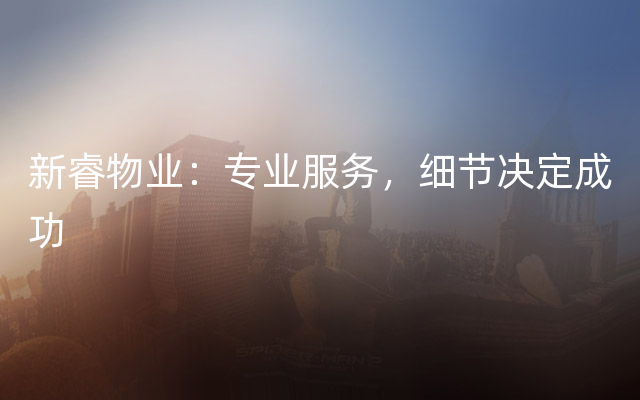 新睿物业：专业服务，细节决定成功