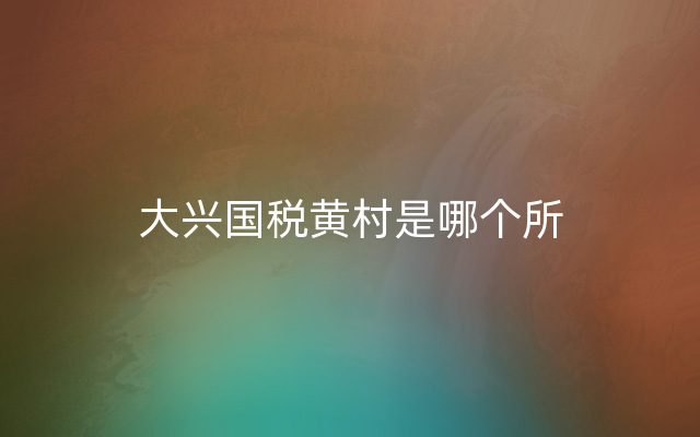 大兴国税黄村是哪个所
