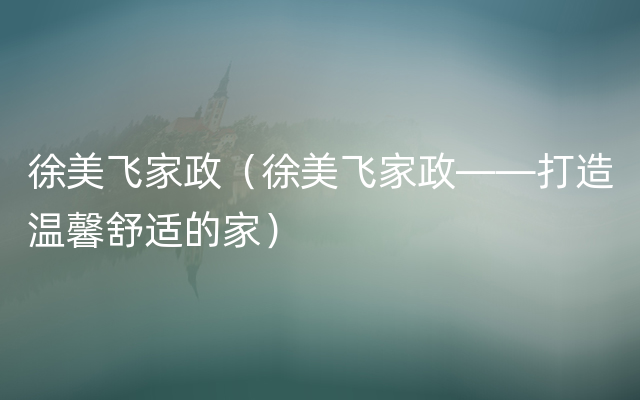 徐美飞家政（徐美飞家政——打造温馨舒适的家）