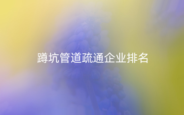 蹲坑管道疏通企业排名