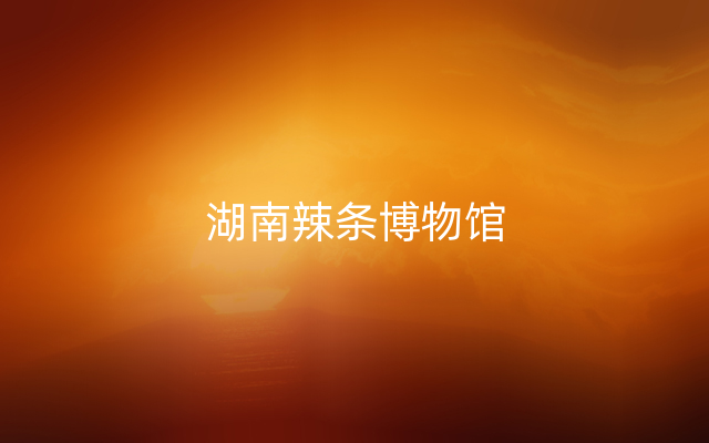 湖南辣条博物馆