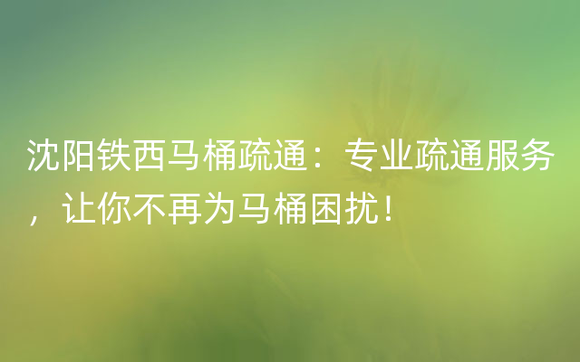 沈阳铁西马桶疏通：专业疏通服务，让你不再为马桶困扰！