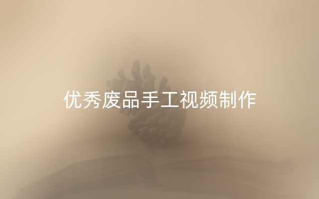 优秀废品手工视频制作