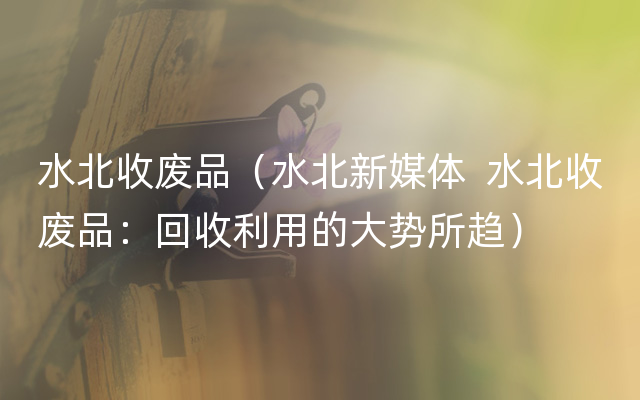 水北收废品（水北新媒体  水北收废品：回收利用的大势所趋）